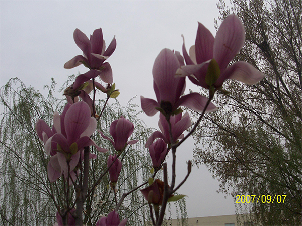 济南托老所生态环境