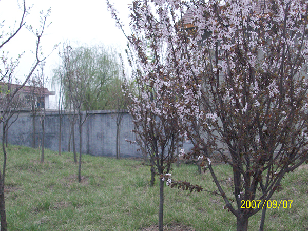 济南托老所生态环境