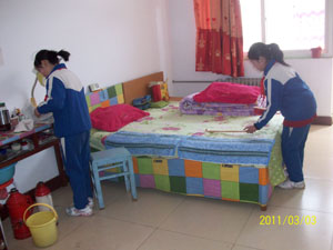 青年志愿者活动